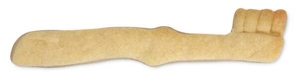 Städter Ausstechform Zahnbürste 9 Cm 3 Städter Ausstechform Zahnbürste 9 Cm – Bild 3