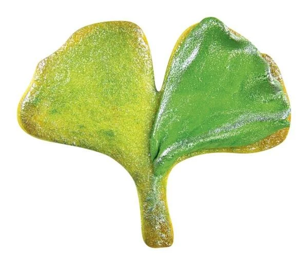 Städter Ausstechform Ginkgoblatt 6,5 Cm 2 Städter Ausstechform Ginkgoblatt 6,5 Cm – Bild 2