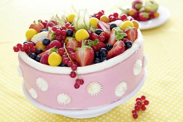 Städter Backrahmen Pusteblume ø 18–30 Cm / H 7 Cm Verstellbar 4 Städter Backrahmen Pusteblume ø 18–30 Cm / H 7 Cm Verstellbar – Bild 4