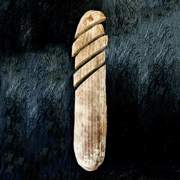 Städter Gärkorb Baguette 36 X 7,5 Cm / H 3,5 Cm 600 G 2 Städter Gärkorb Baguette 36 X 7,5 Cm / H 3,5 Cm 600 G – Bild 2