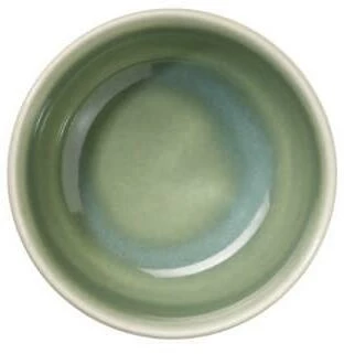 ASA Schale Saisons Agave, 9 Cm 1 ASA Schale Saisons Agave, 9 Cm